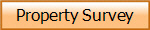 Property Survey